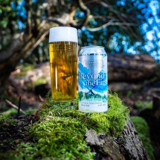 Can and glass of beer labeled 'Beyond the Firs' on a mossy log with a forest background
