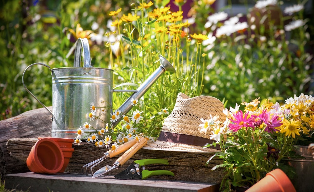 Father's Day hampers