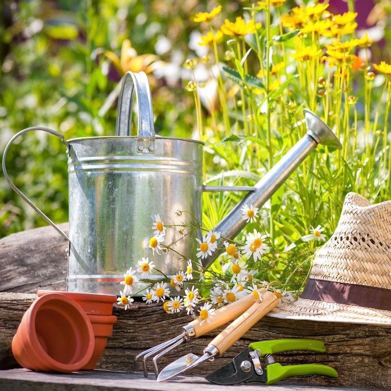 Father's Day hampers