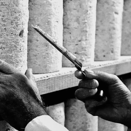 Rounds of Fourme d'Ambert on shelf being sampled