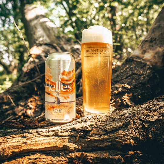 Can and glass of Burnt Mill Helles Lager on a tree stump with a forest background