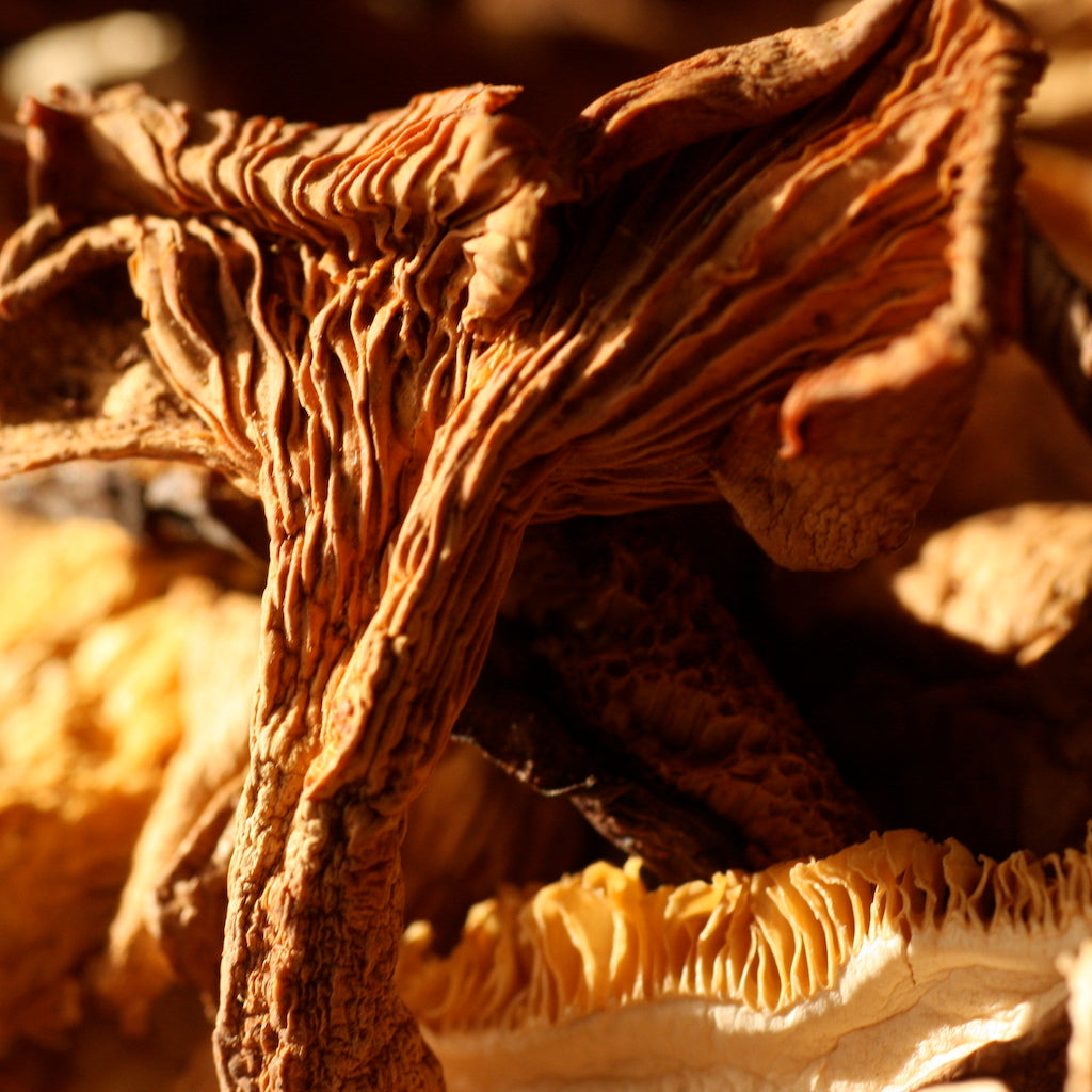 The Artisan Smokehouse's dried and smoked forest mushrooms