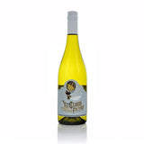 Cloud Factory Sauvignon Blanc wine bottle on a white background
