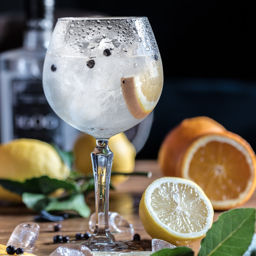 A gin cocktail in a glass with lemon & ice