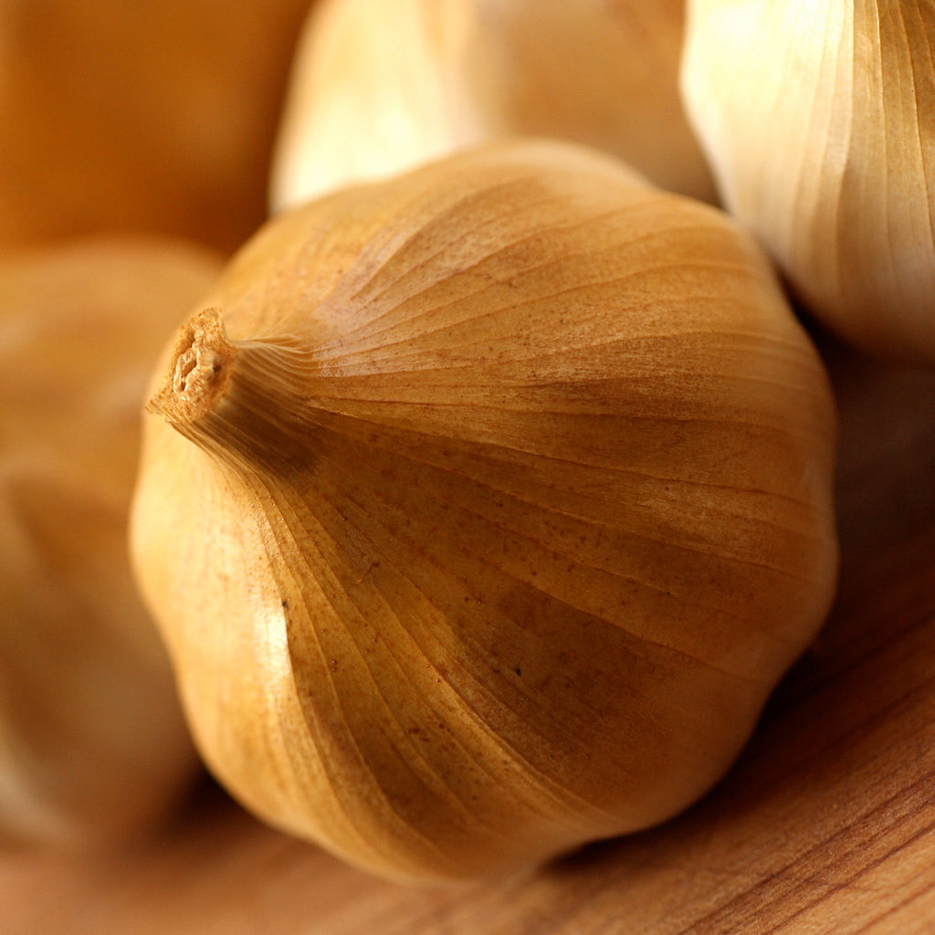 A bulb of Artisan Smokehouse maple smoked garlic
