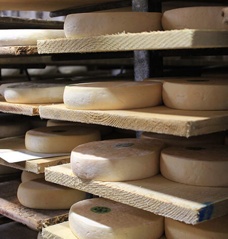 Reblochon maturing on wooden shelves